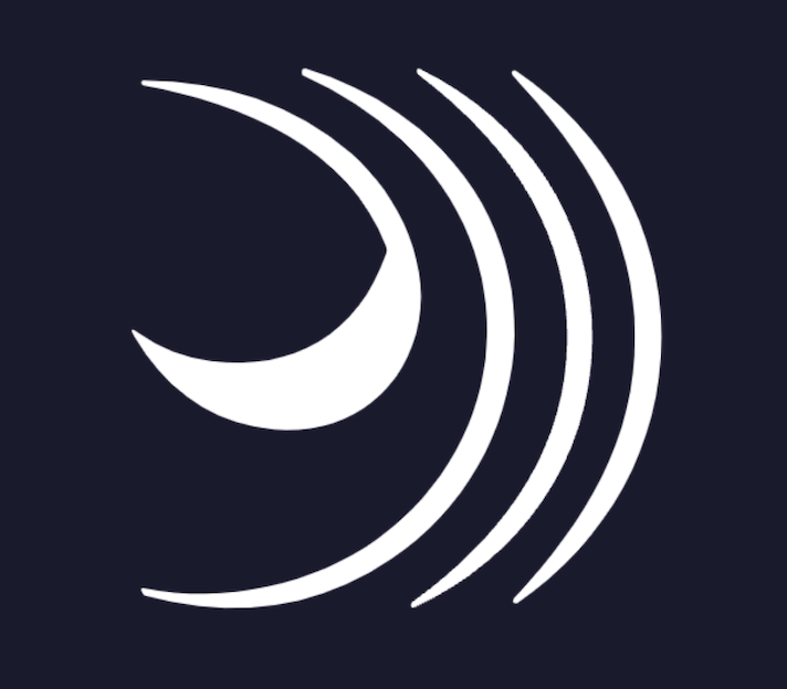 Born To Disrupt logo